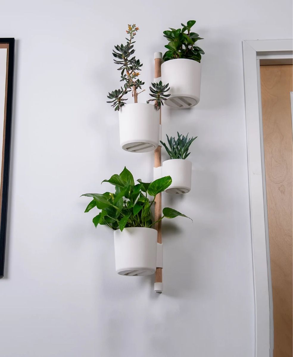 Lotti di vestiti: Vertical Wall Planters - 3D Printed – Nuovo e nell'imballaggio originale da Luzern venduto da Vi-Print 4