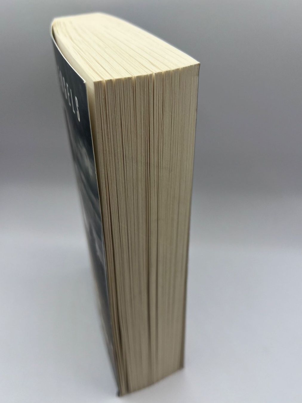 Libri: 📖 TOTES MOOR Lars Engels – Usato da Vaduz venduto da NotNeeded 3