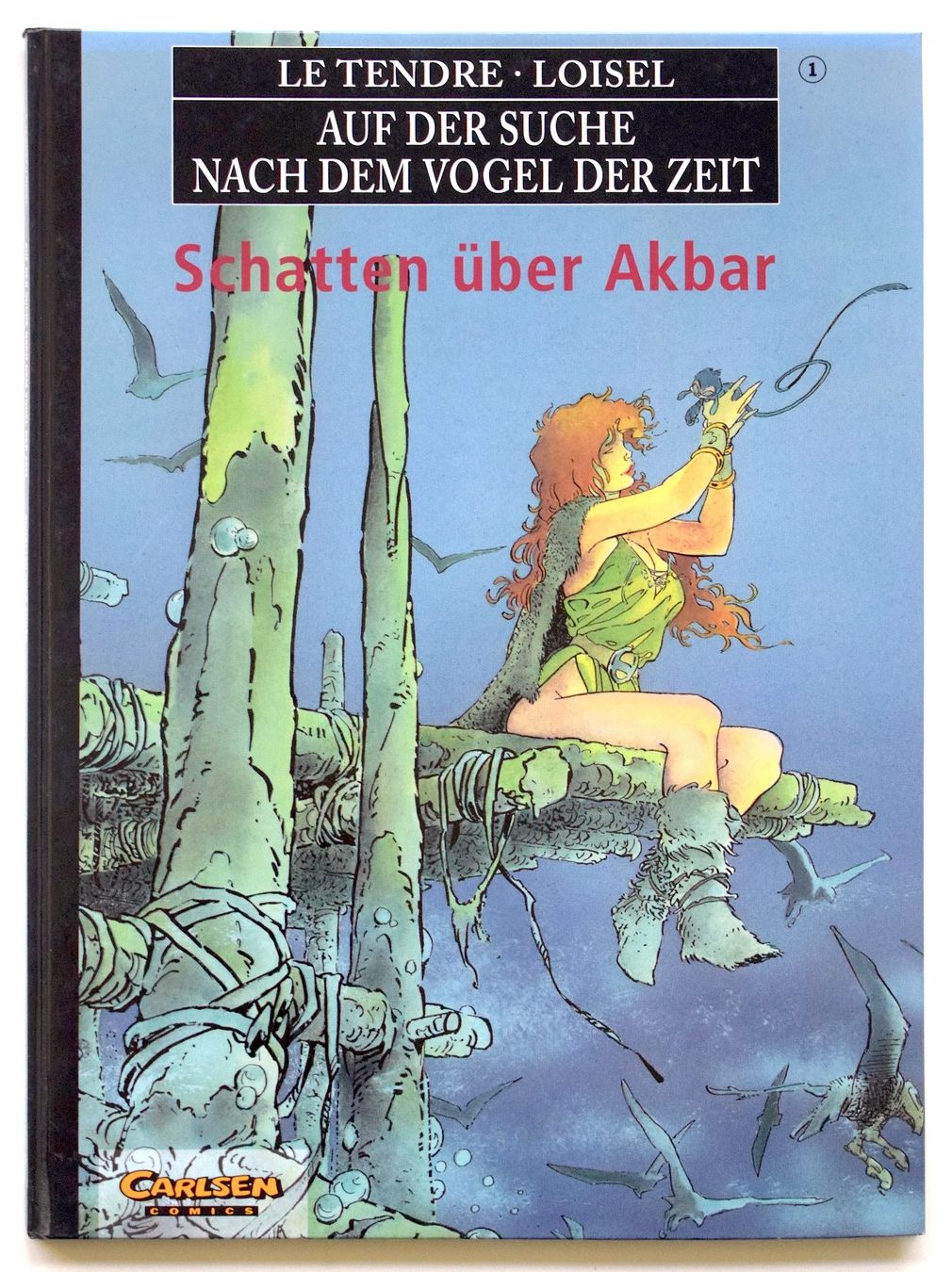 Fumetti: Loisel Suche nach dem Vogel 1 Schatten Akbar Comic-Sammlung – Usato da Dulliken venduto da ichwettichhett