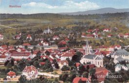 Menziken AG // ca. 1920 Dorf