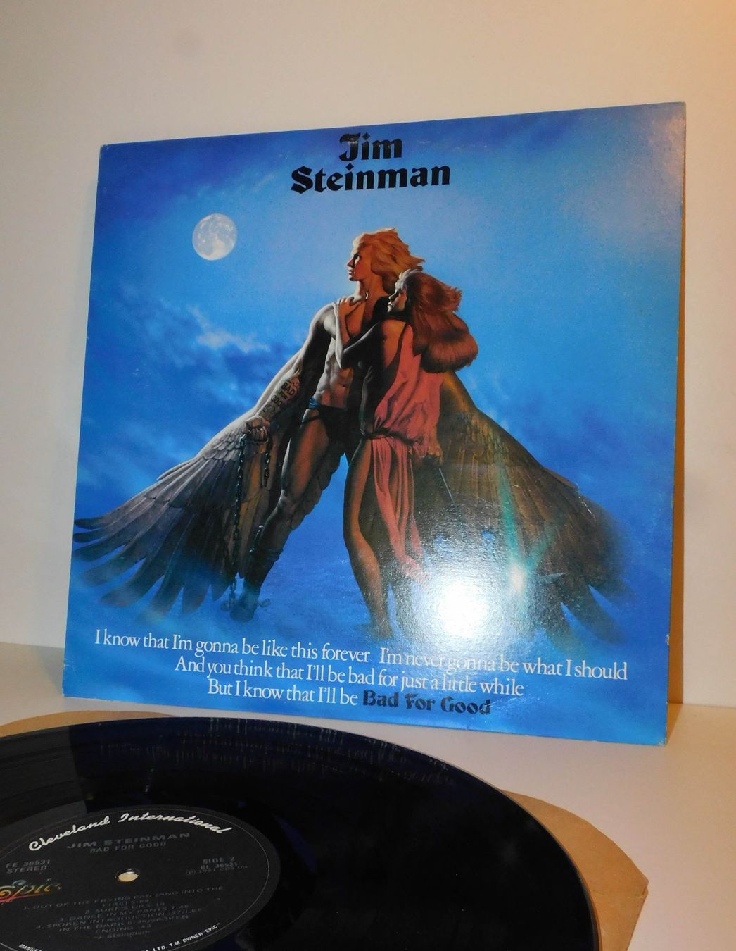 Dischi in vinile: Lp Jim Steinman - 1981 Schallplatte – Usato da Sursee venduto da 76