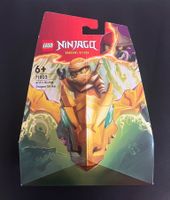 Lego Ninjago - Arin‘s Rising