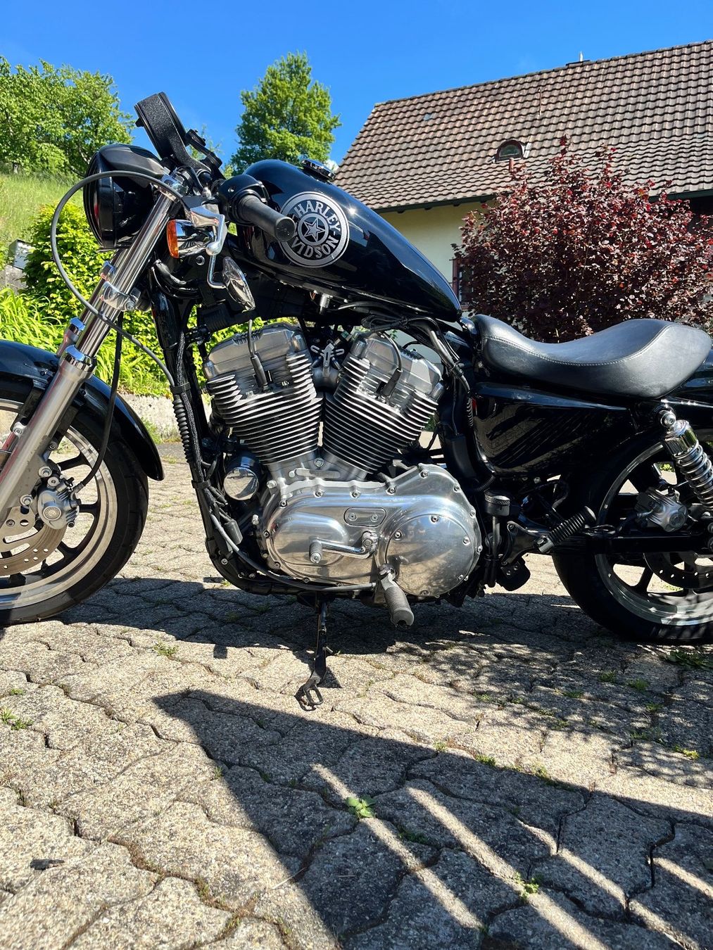 Harley-Davidson Chopper: Harley Davidson Sportster XL883 L – Usato da Diepflingen venduto da mar_nhp7 8
