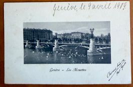 Genève - Les mouettes 1909