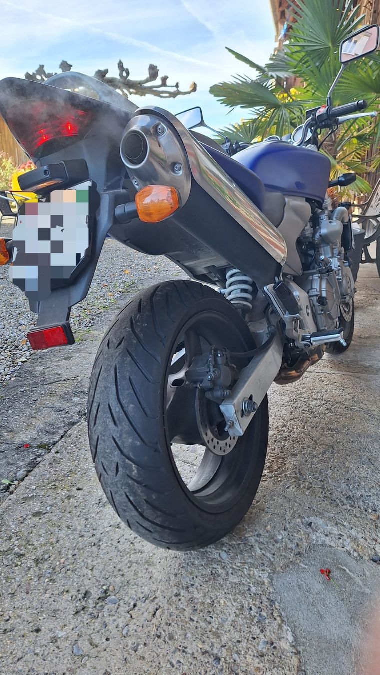 Honda Strada: Honda Hornet, Top Zustand – Usato da Schmerikon venduto da 1SanMartin 3