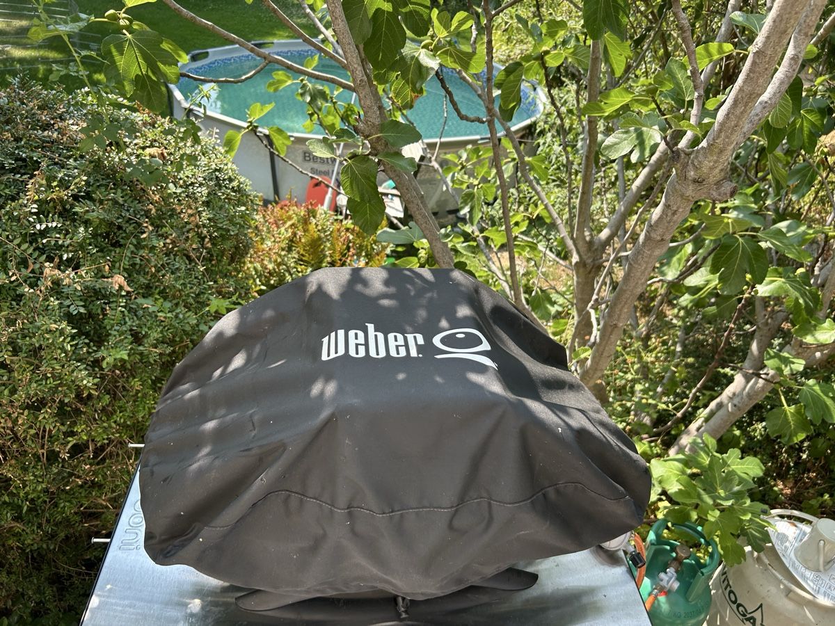 Weber Griglie: Weber Q1200 gasgrill – Usato da Basel venduto da marcvo 1