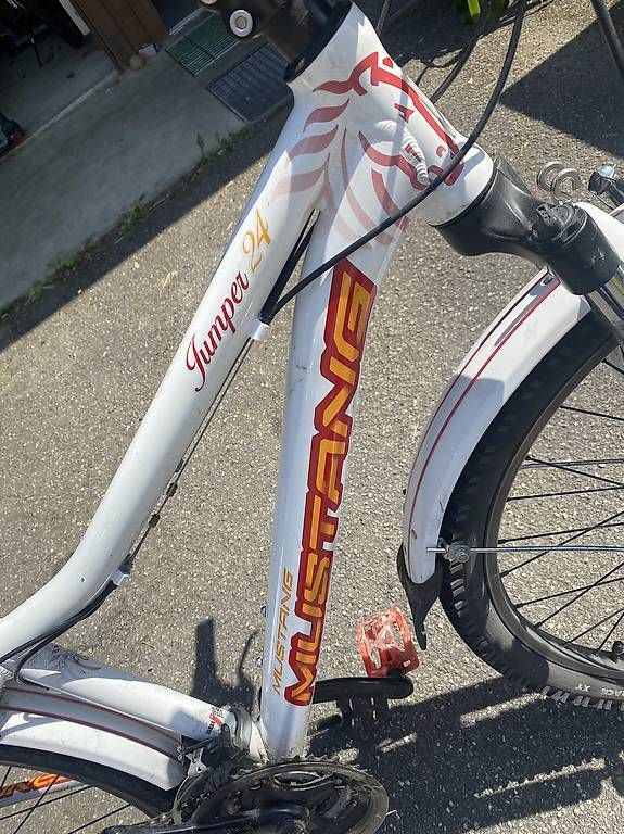 Biciclette: Kindervelo – Usato da Zofingen venduto da meins123 1