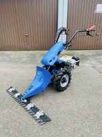 Balkenmäher Honda Motor professionell