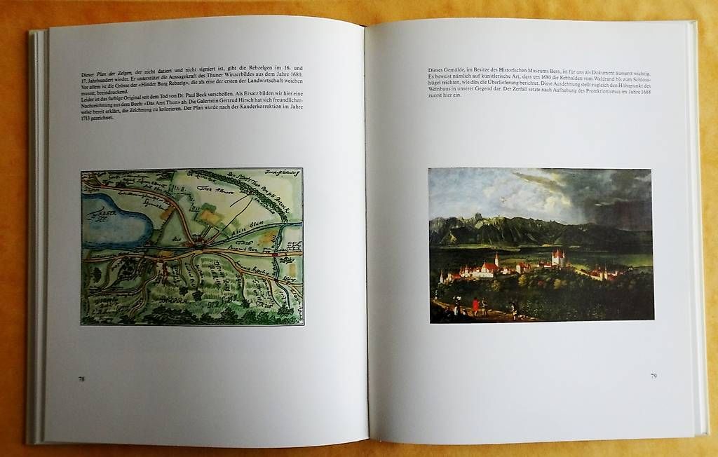 Libri: Thuner Reben - Thuner Wein – Usato da Bern venduto da janosh-08 1