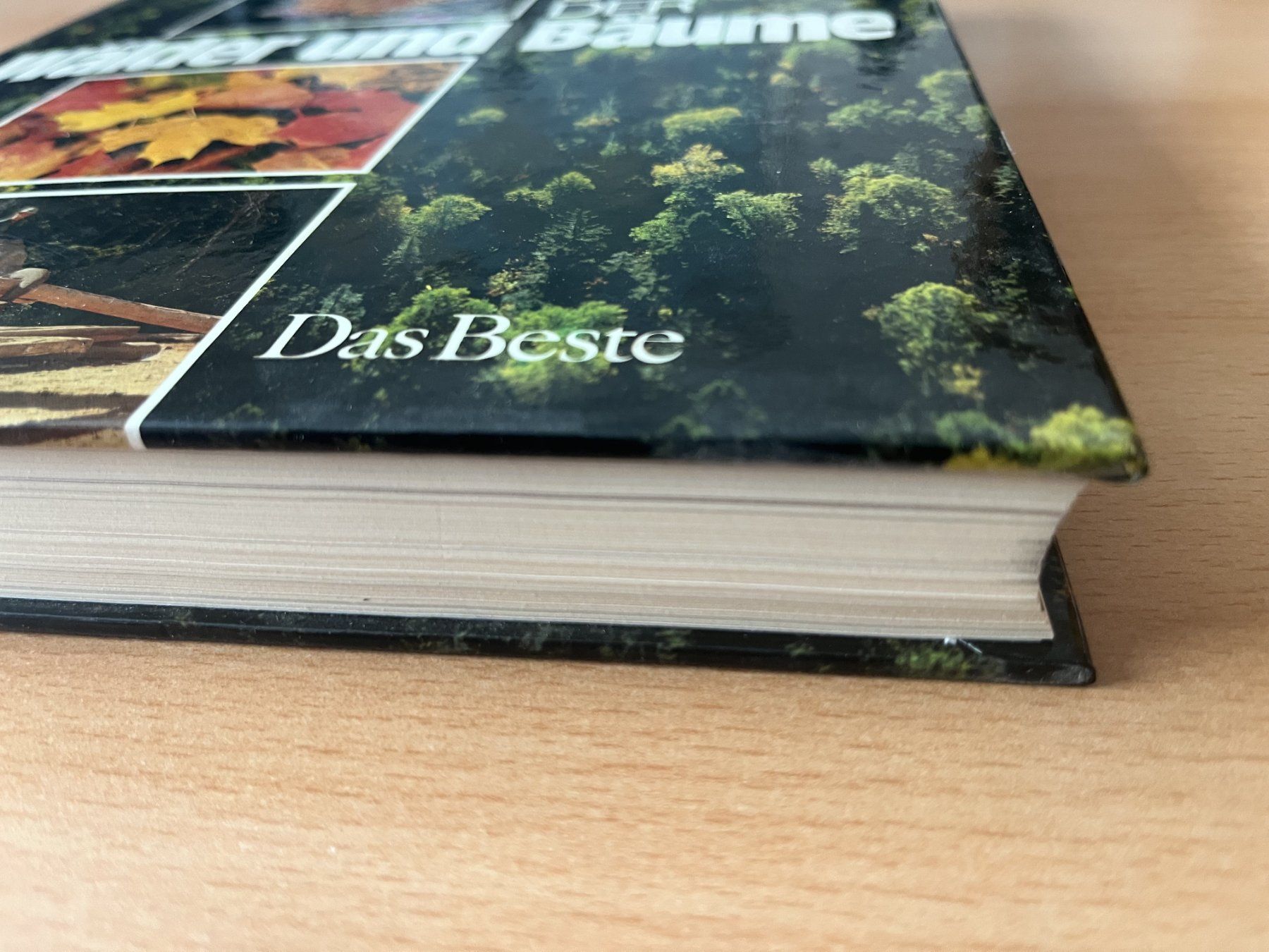 Libri: Das grosse Buch der Wälder und Bäume – Usato da Lausen venduto da Mondeo10628 1