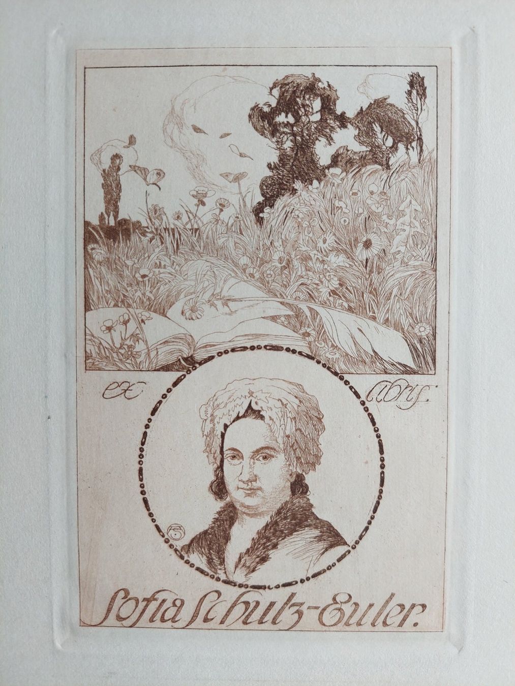 Dipinti: Exlibris Alfred Soder - Original Radierung – Usato da Obfelden venduto da Knauserig2026
