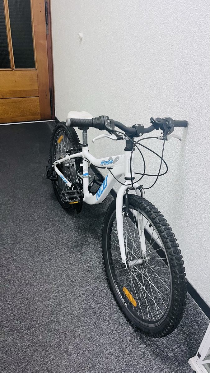 Velos: Racer Python Kinder Velo  – Gebraucht aus Hilterfingen von mus_85w9 2