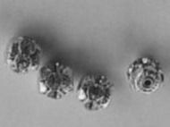 Swarovski Altri gioielli: 4 Stk. Swarovski Rondellen Cristal Silber – Nuovo e nell'imballaggio originale da Winistorf venduto da acreativ2