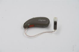 SIGNIA Pure Charge & Go Hörgerät (100025p10)