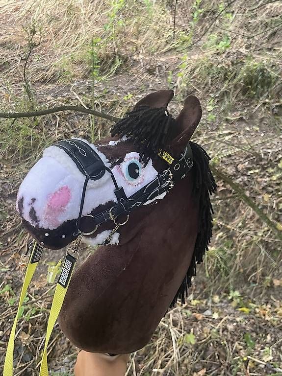 Giocattoli: Hobby Horse AUFTRÄGE – Usato da Susten venduto da Kht_formidable 2