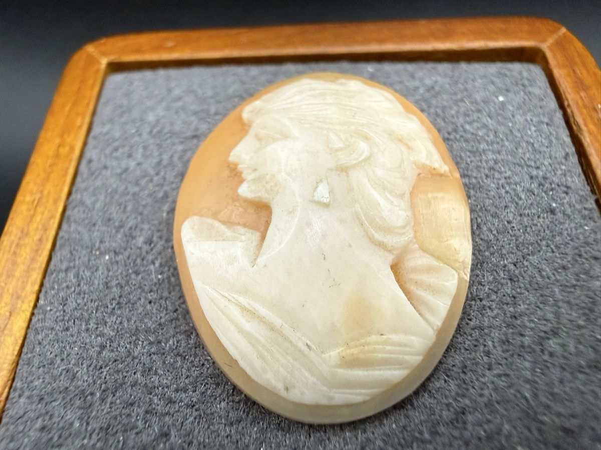 Sculture & Statue: Antiker Cameo mit Frauenprofil – Usato da Lamone venduto da LaCantinaMagica