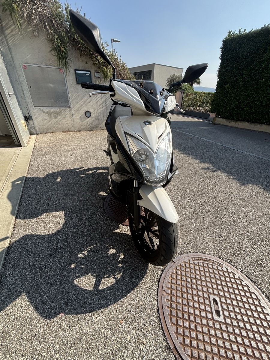 Kymco Scooters: Scooter Kymco Super 8 50cc – Gebraucht aus Castel San Pietro von plv_xmf8 1