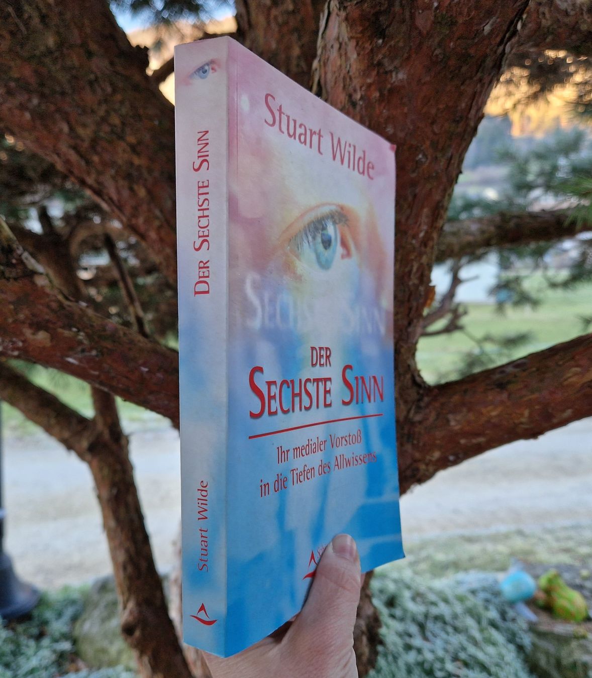 Bücher: Buch - Der sechste Sinn - Stuart Wilde – Gebraucht aus Siblingen von  1