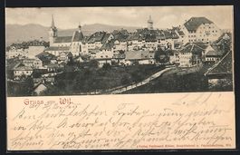 AK Wil / SG, Totalansicht, 1903