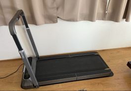 Walkingpad zu verkaufen; muss in Zuchwil abgeholt werden