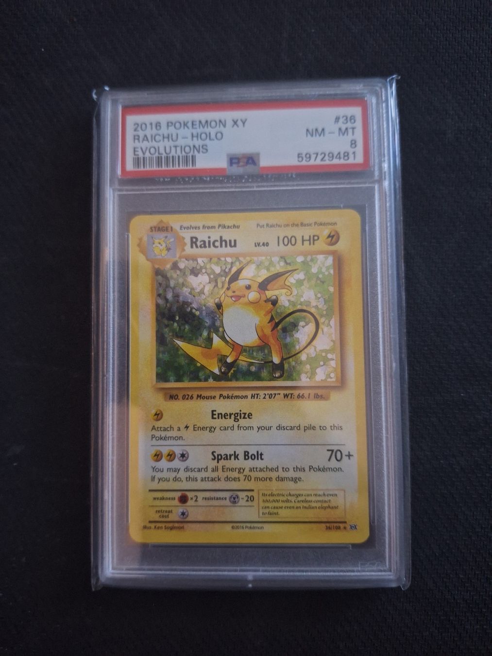 Pokémon Carte collezionabili: Pokemon Karte PSA (EVO 36) – Nuovo e nell'imballaggio originale da Obernau venduto da gig_g7j8