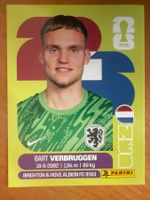 Panini NED2