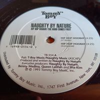 Naughty By Nature Vinyl Hip Hop Hooray