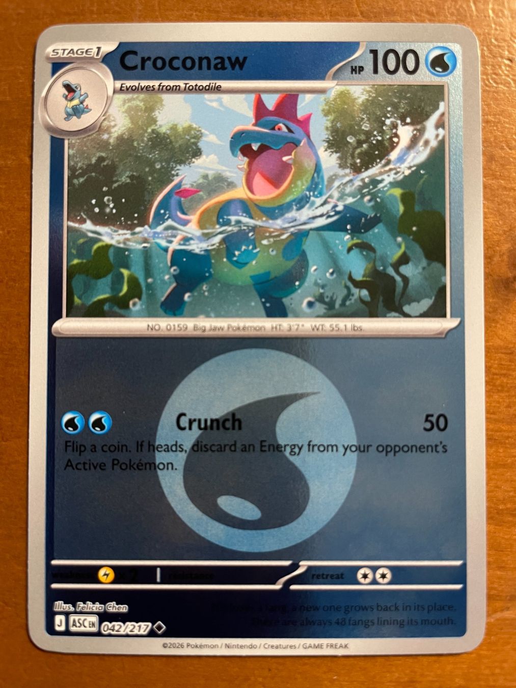 Pokémon Sammelbilder & Trading cards: Pokemon Croconaw Reverse (Versand gratis) – Neu (gemäss Beschreibung) aus Chur von Angerson