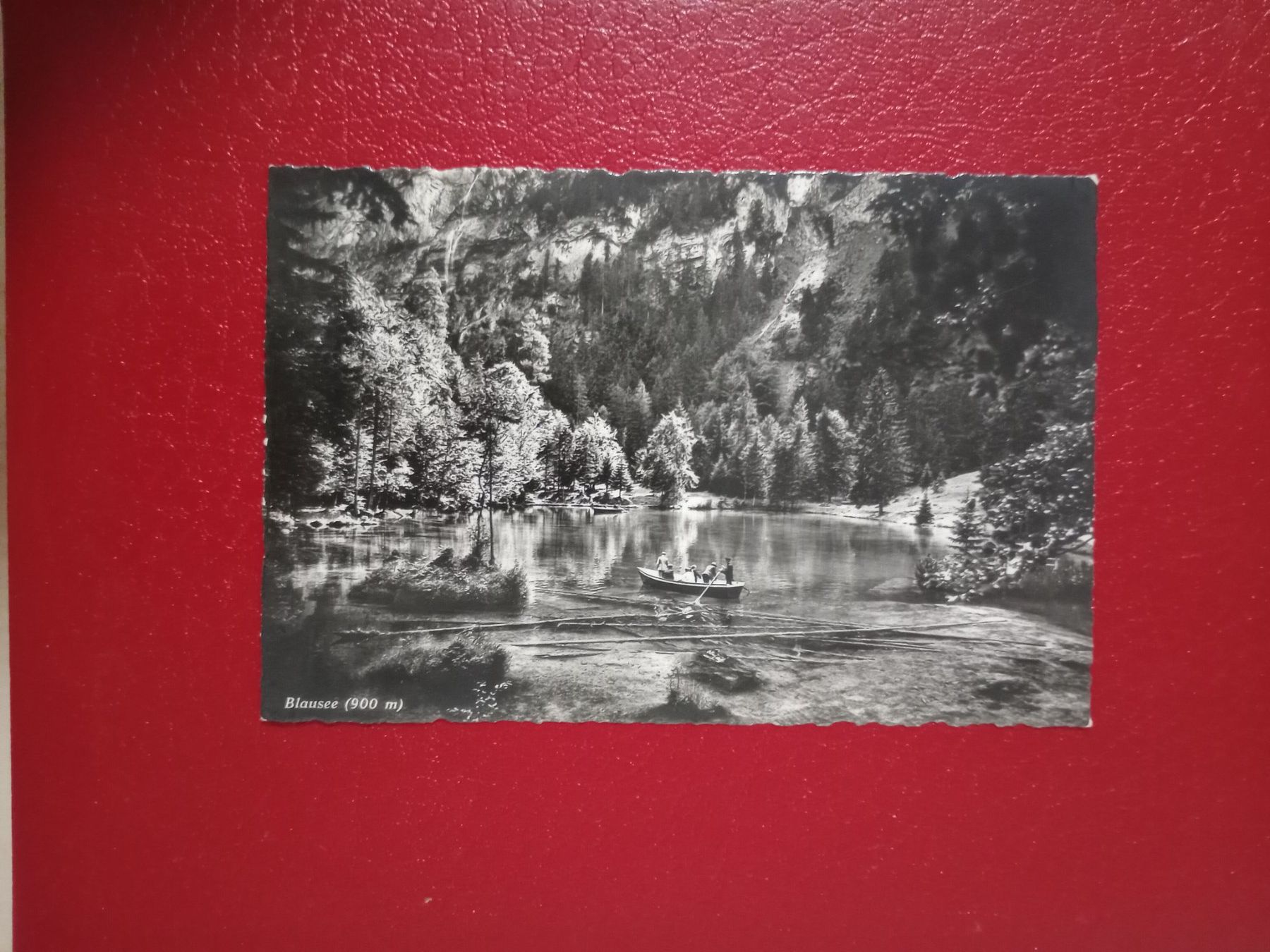 Cartes postales: Blausee Bern s/w Karte – D'occasion à Küttigen par Melisch1000