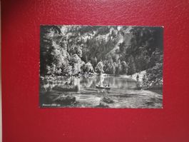 Blausee Bern s/w Karte