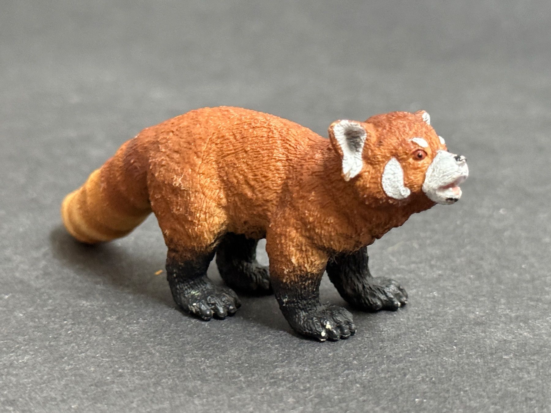 Schleich Statuette: SCHLEICH Wild Life Roter Panda Panda – Usato da Ennetbaden venduto da mapa05 2