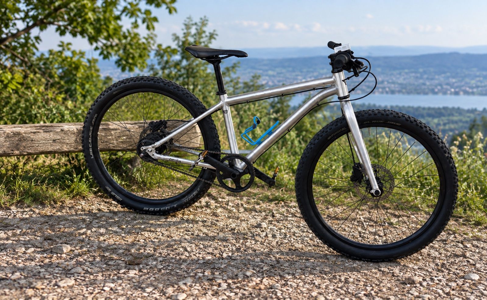 Early Rider Biciclette: Early Rider Belter 24 – Usato da stallikon venduto da Guetze1990