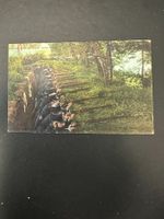 Infanterie, 1. Weltkrieg