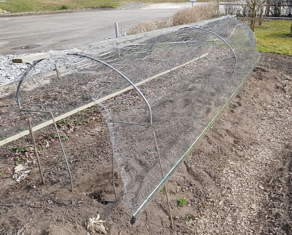 Hagelschutz für Ihren Garten Gartentunnel Bogen Kaufen auf Ricardo