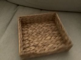 Napkin placer