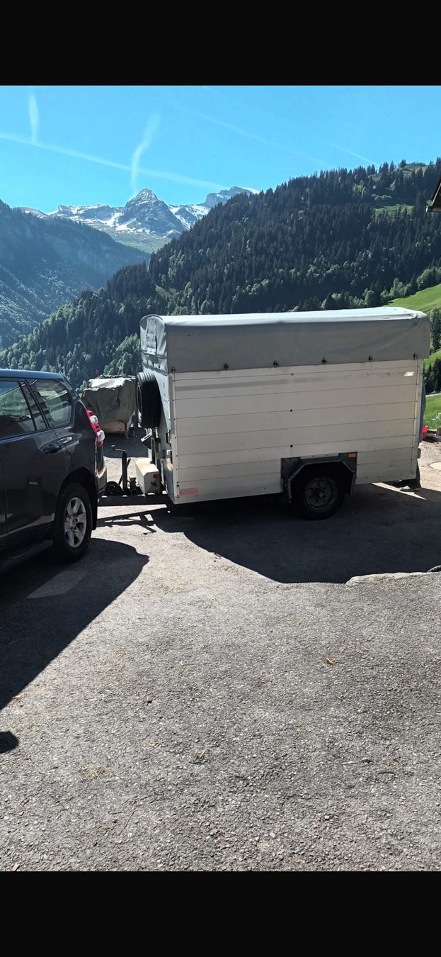 Toyota Automobili: Toyota Land-Cruiser 2.8 Diesel mit Viehanhänger – Usato da Oberiberg venduto da aut_h2vh 5