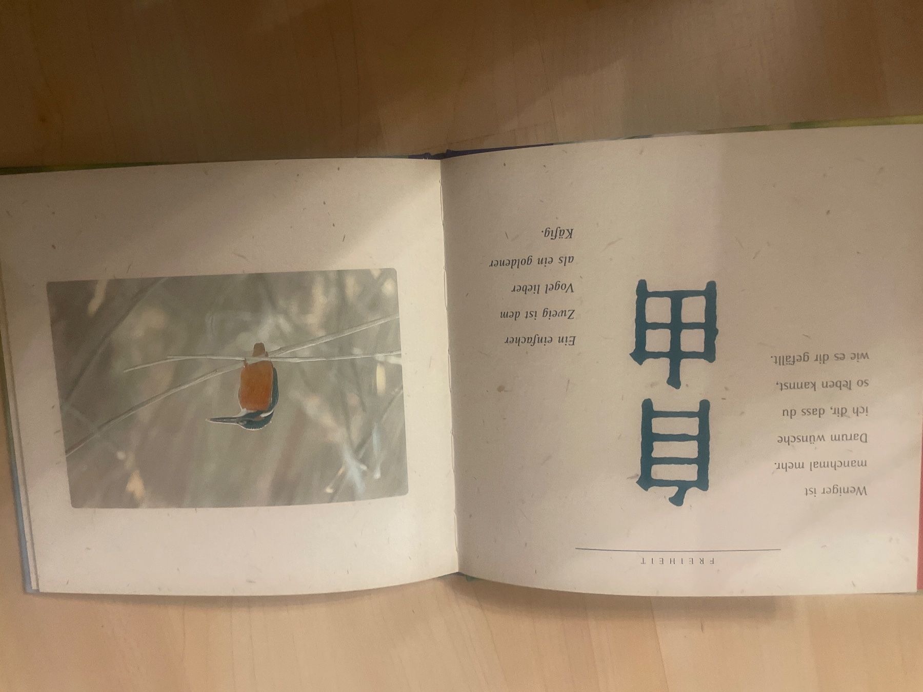 Libri: Tausenderlei Glück Buch – Usato da Schaffhausen venduto da Kolibri023 2
