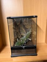 Exo Terra Glasterrarium vertikal gebraucht guter Zustand