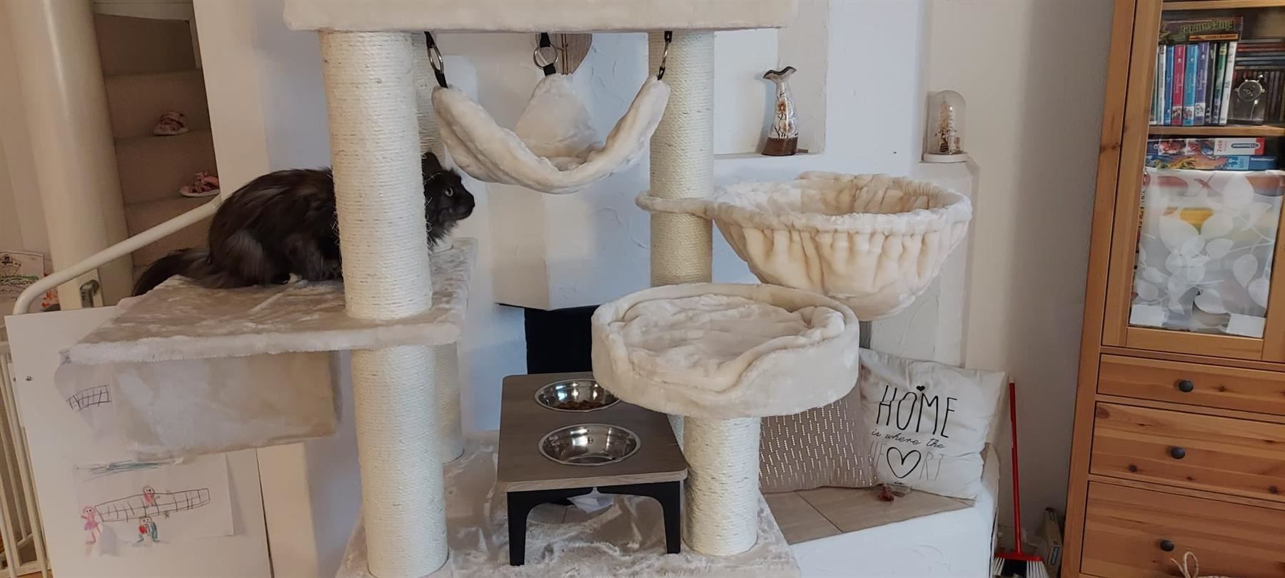 Tiragraffi: PREMIUM KATZENBAUM Kratzbaum massiv+neu – Nuovo e nell'imballaggio originale da Eschenbach LU venduto da PETHOMES_AG 6