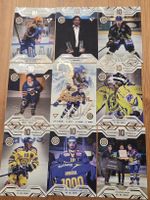 Andres Ambühl Sportzoo THE ONE AND ONLY 9 CARD 2025