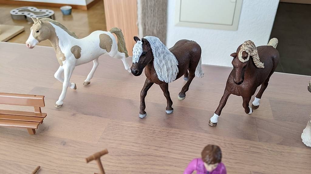 Schleich Giocattoli: Gros lots de Schleich Pferde – Usato da Orbe venduto da hondasss 4