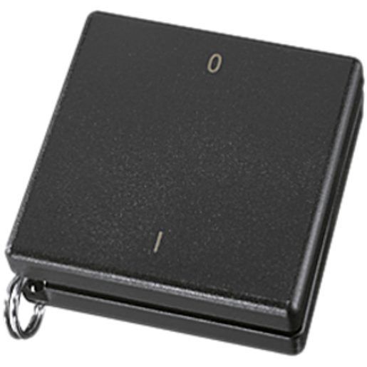 Telecomandi: Télécommande mini RF Éltako noir 0/1, pour porte-clés FMH2S – Nuovo e nell'imballaggio originale da Venthône venduto da TAR