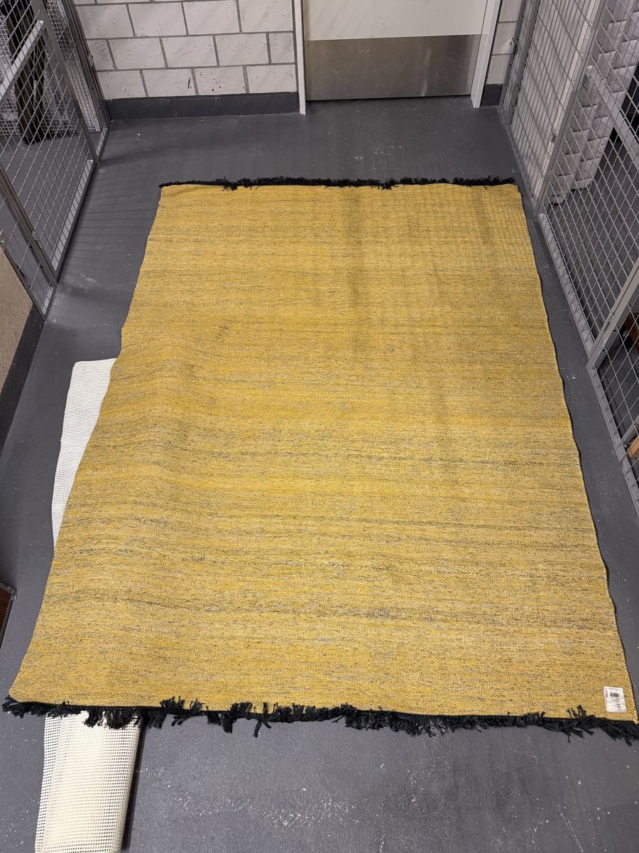 Pfister Tappeti: Teppich Pfister 170 x 240cm – Usato da Zürich venduto da z00mie