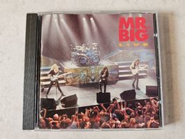 Mr. Big  -  LIVE