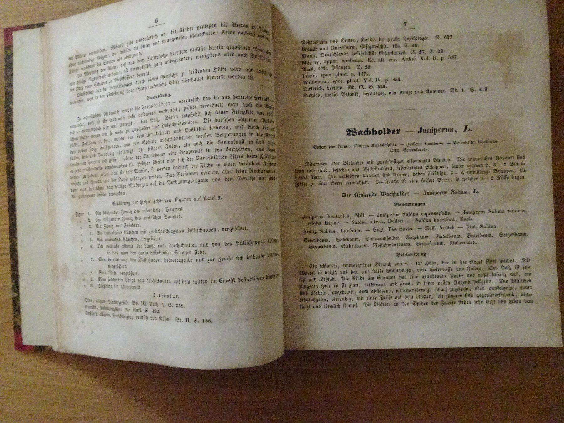 Libri: Giftpflanzenbuch Giftgewächse Berge & Riecke 1855 – Usato da Siebnen venduto da niki61 8