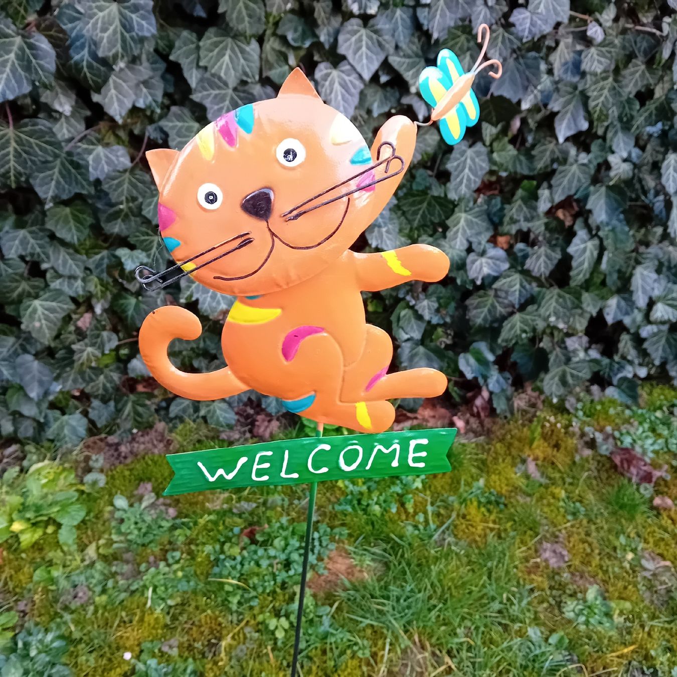 Migros Tutte le decorazioni: Willkommensschild Katze – Nuovo (secondo la descrizione) da Witterswil venduto da hele04 1