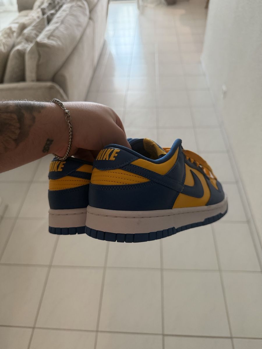 Nike Scarpe da uomo: Nike Dunk Low – Usato da Bulle venduto da mon_lv9v
