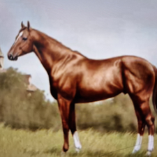 Profile image of Secretariat11