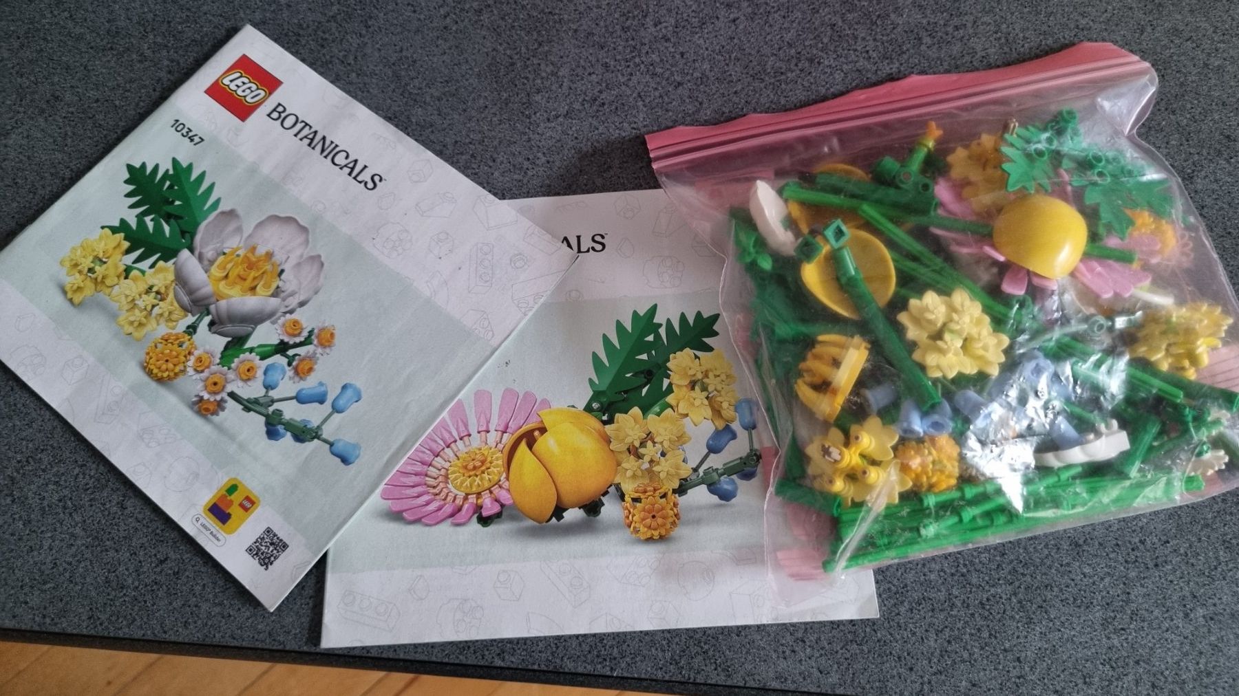 Lego Baukästen: Lego  BOTANICALS 10347 – Gebraucht aus La Chaux-de-Fonds von mikilo1 2