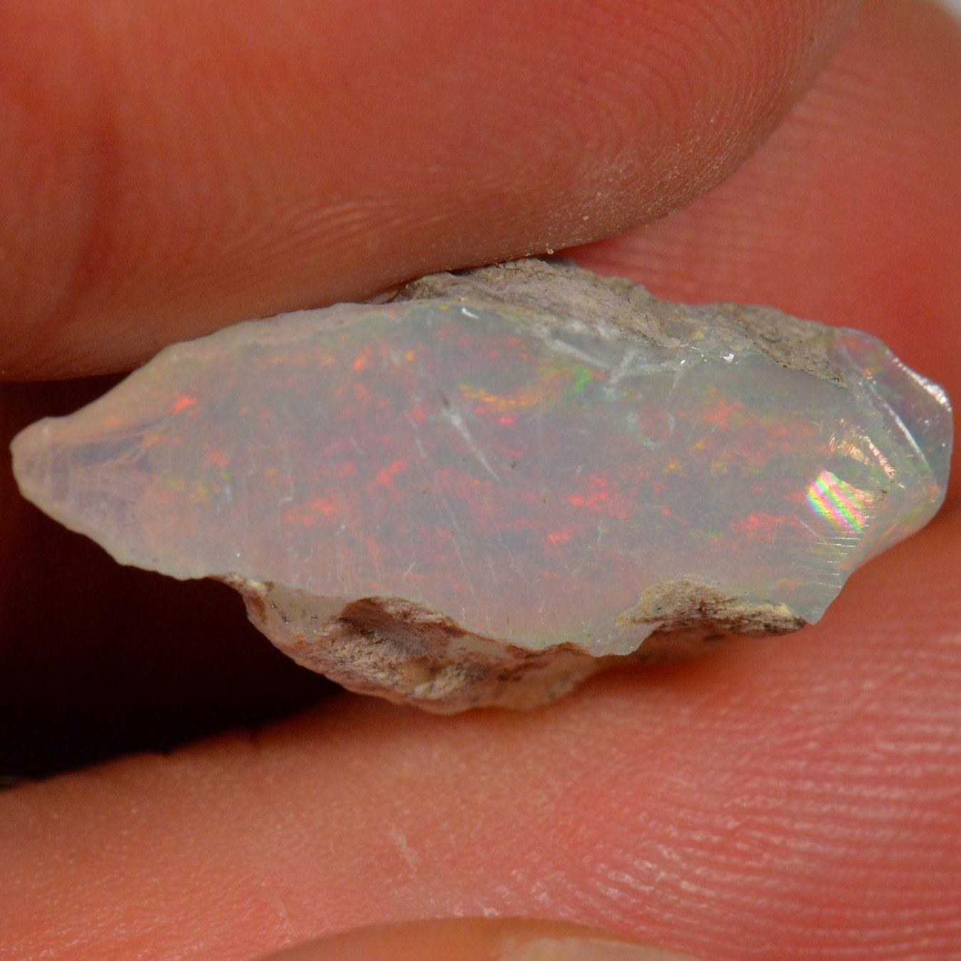 Pierres précieuses: 7.4 Karat - Roher Äthiopischer Welo Opal – Neuf (Voir description) à Rüti ZH par DeinOpal 4
